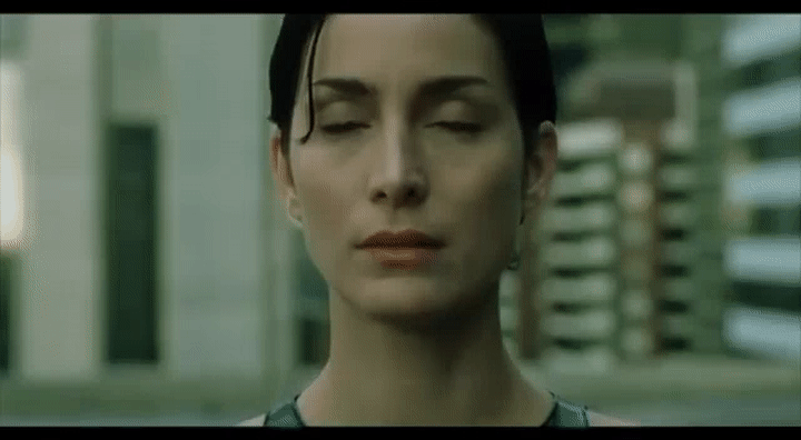 Trinity downloading helicopter flying skills in The Matrix