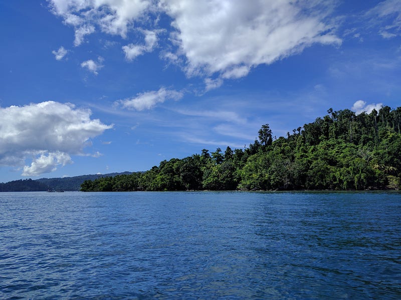 Arriving at Raja Ampat Dive Resort
